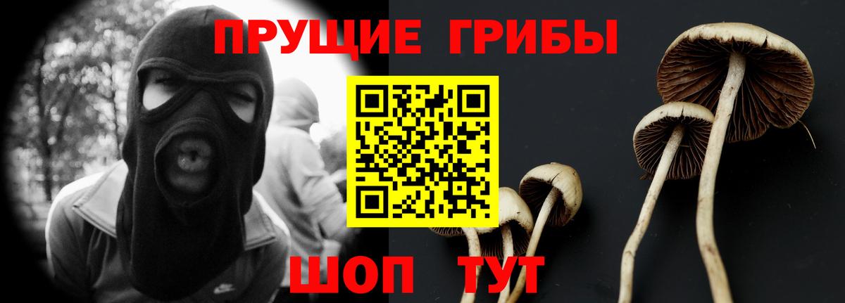 Ярцево  где купить наркоту  Вход с VPN  Галлюциногенные грибы мухоморы 
